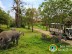 Comme des gamins au Bali Safari and Marine Park