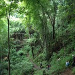Trekking dans la jungle à Chiang Mai